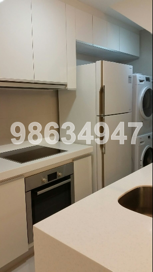 The Rochester Residences (D5), Apartment #49155002